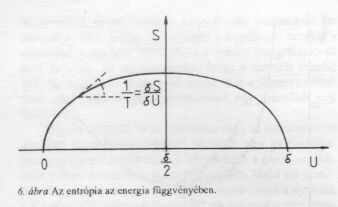 6.bra