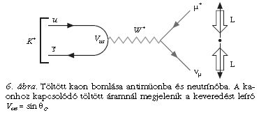 6. bra